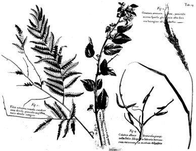 n449_w1150