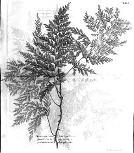 n493_w1150