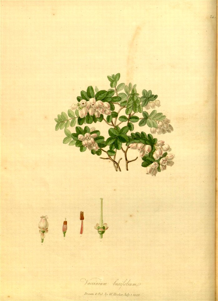 n8_w1150