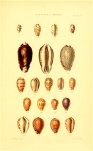 n120_w1150