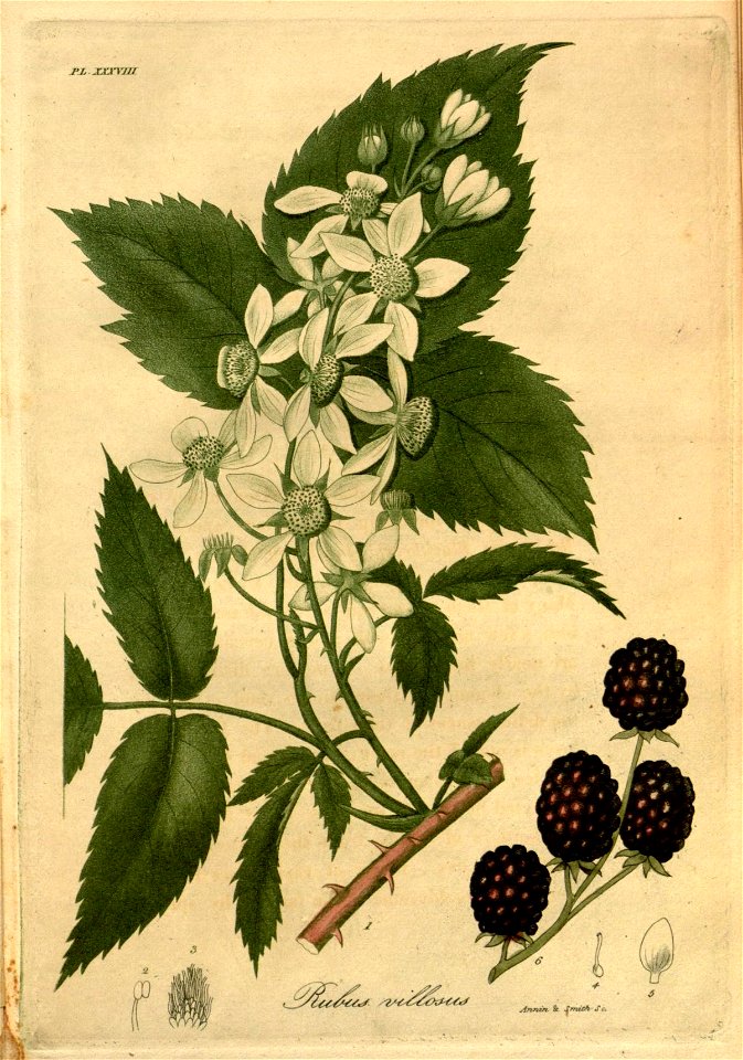 n172_w1150