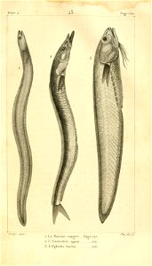 n582_w1150