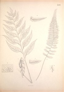 n176_w1150