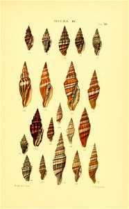 n292_w1150