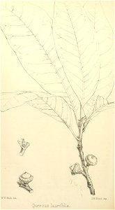 n137_w1150
