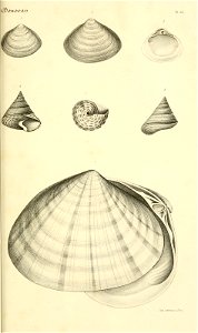 n206_w1150
