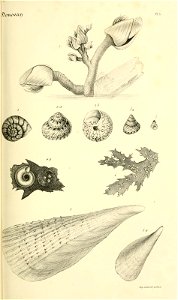 n146_w1150