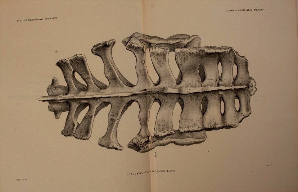 n274_w1150