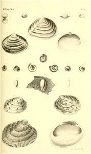 n176_w1150