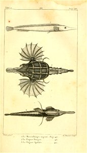 n462_w1150