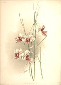 n116_w1150