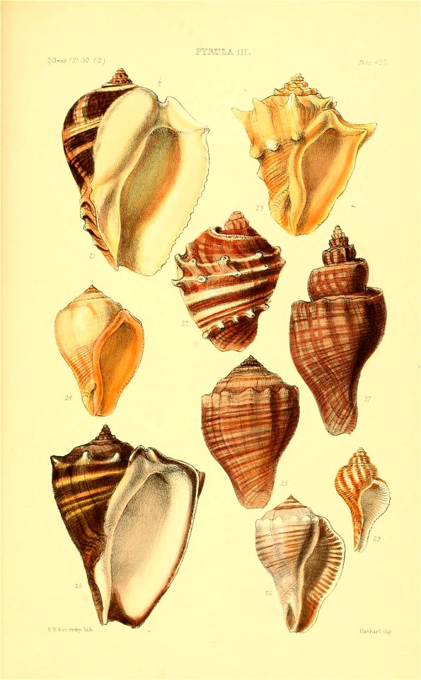 n544_w1150