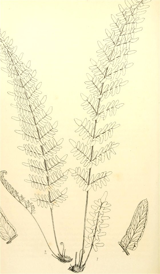 n193_w1150