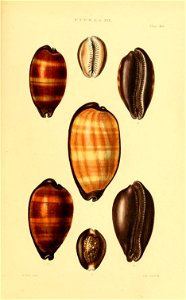 n56_w1150