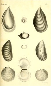 n208_w1150