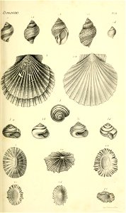 n148_w1150