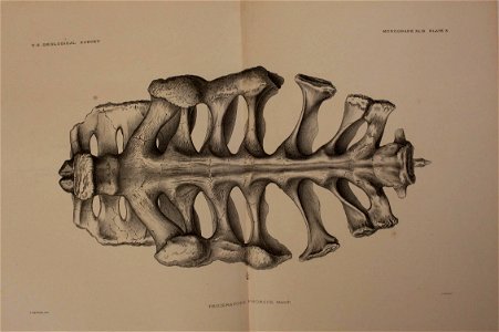 n282_w1150
