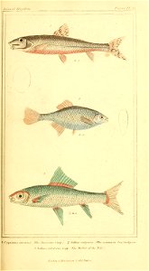 n362_w1150