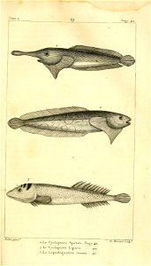 n456_w1150