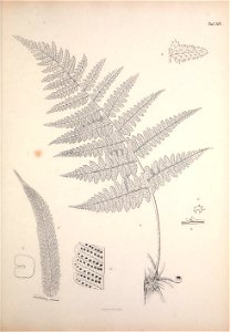 n220_w1150