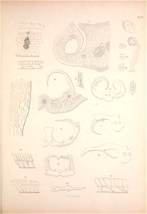 n160_w1150