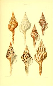 n488_w1150
