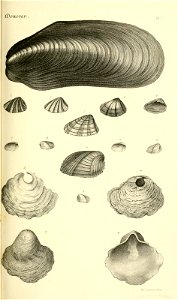 n154_w1150