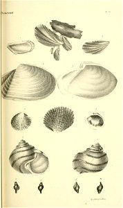 n184_w1150