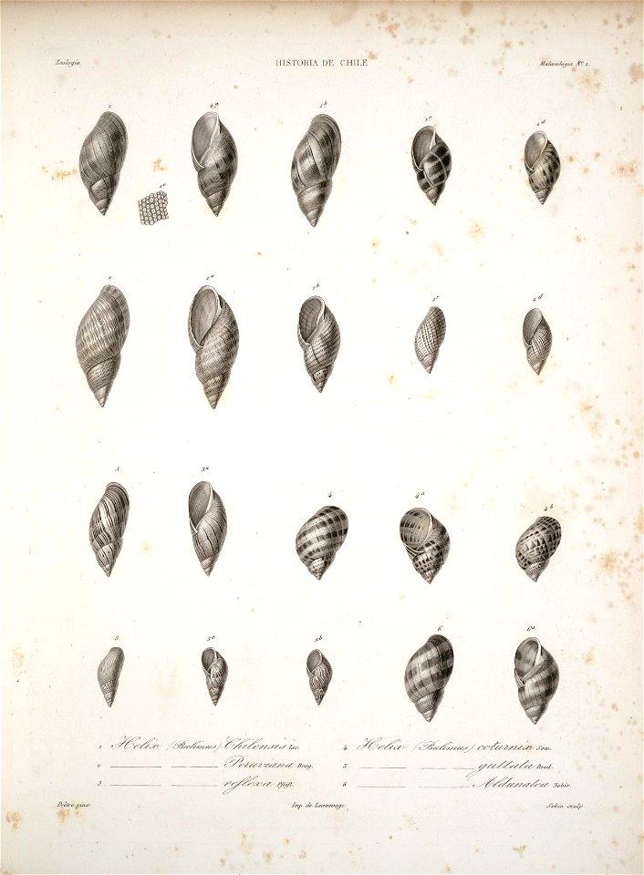 n123_w1150