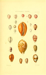 n156_w1150