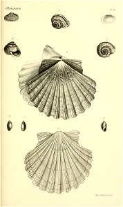 n212_w1150