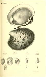 n182_w1150