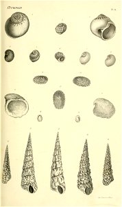 n152_w1150