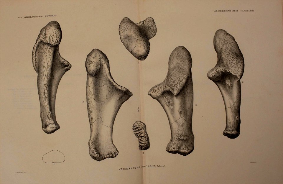n302_w1150