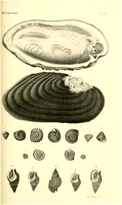 n180_w1150