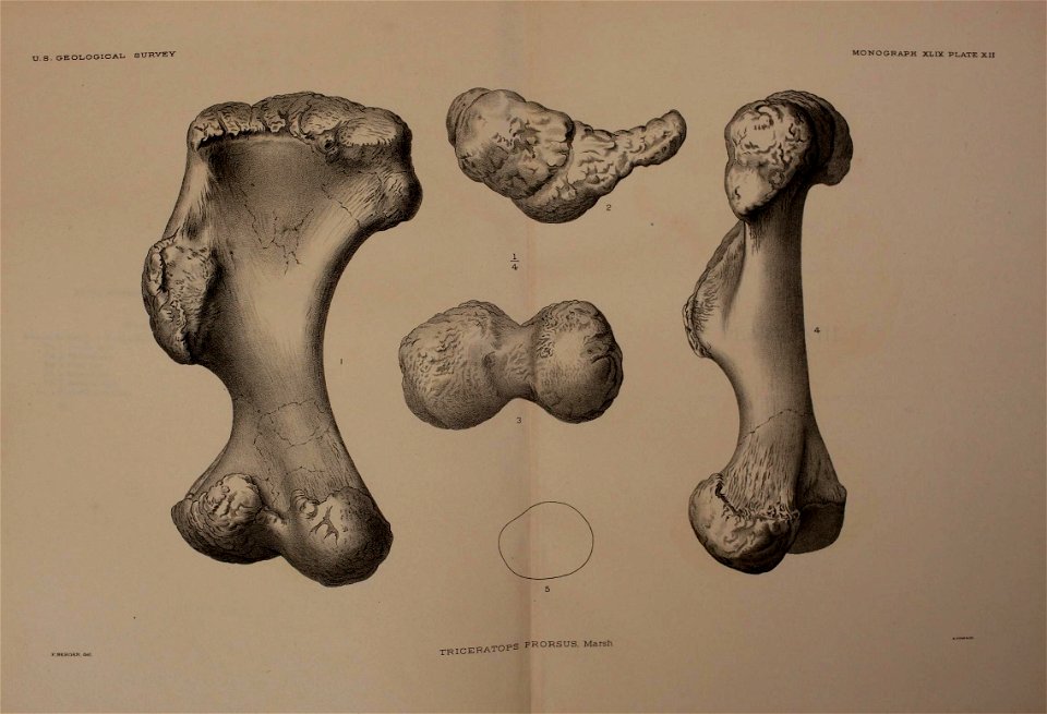 n294_w1150