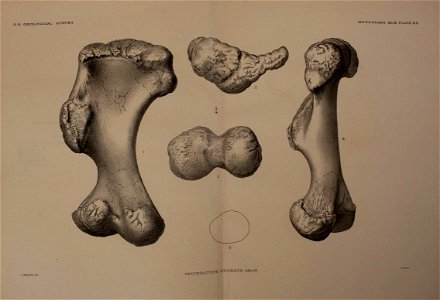 n294_w1150