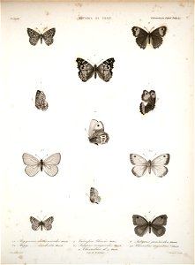 n109_w1150
