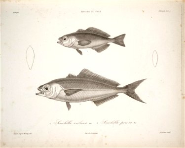n48_w1150