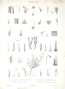 n168_w1150