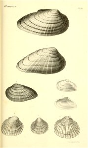 n204_w1150