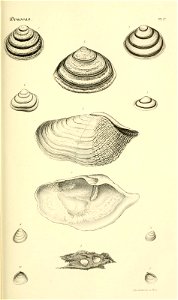 n174_w1150