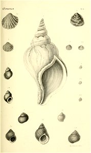 n158_w1150