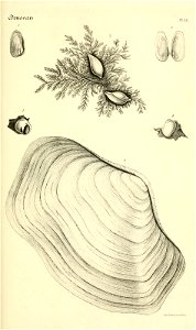 n216_w1150