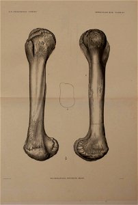 n318_w1150