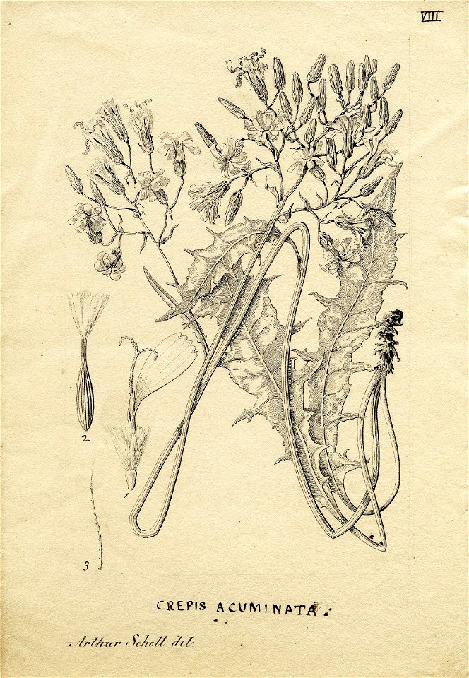 n4_w1150