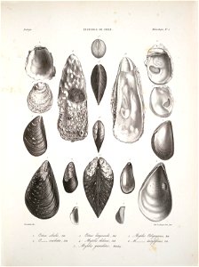 n127_w1150