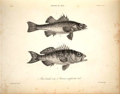 n37_w1150