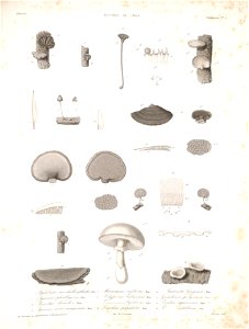 n172_w1150