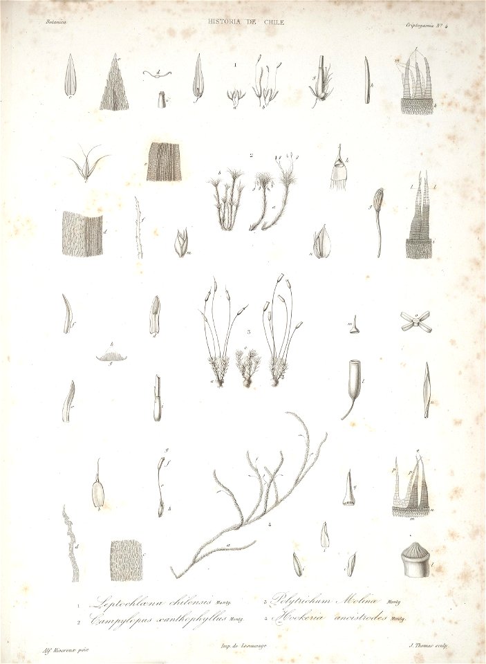 n169_w1150